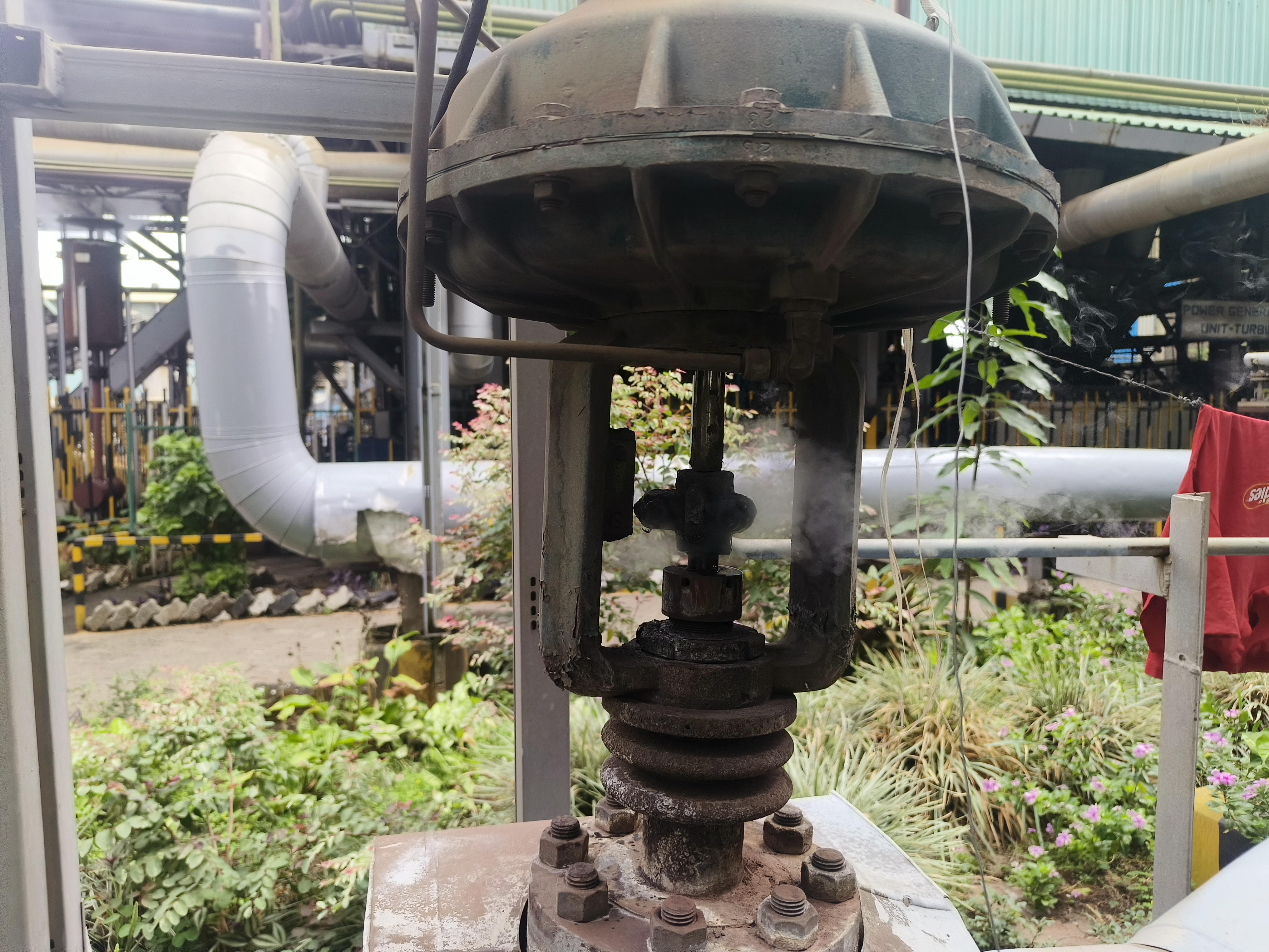 ESIA for BIDCO Cogen