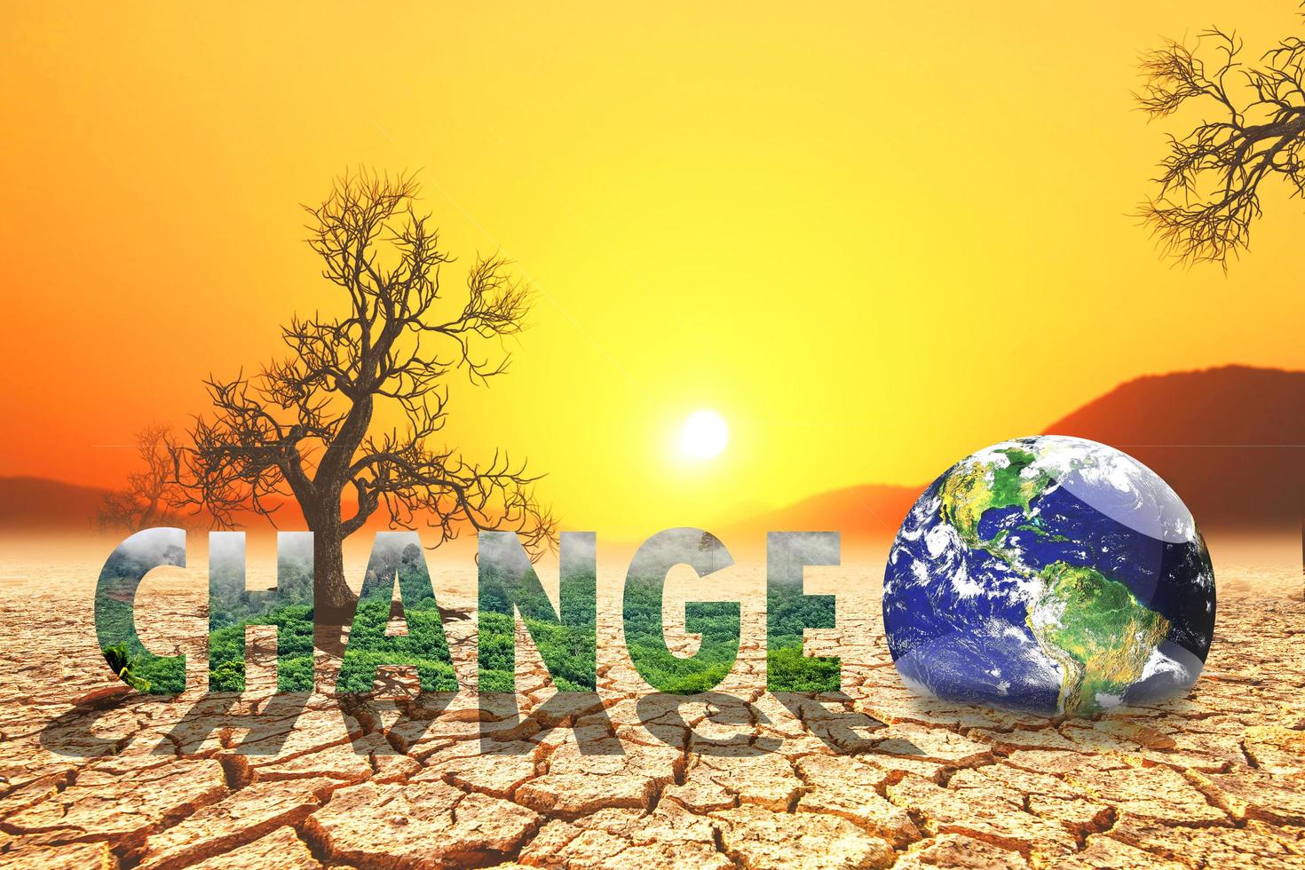 Climate Change Adaptation and Mitigation Training