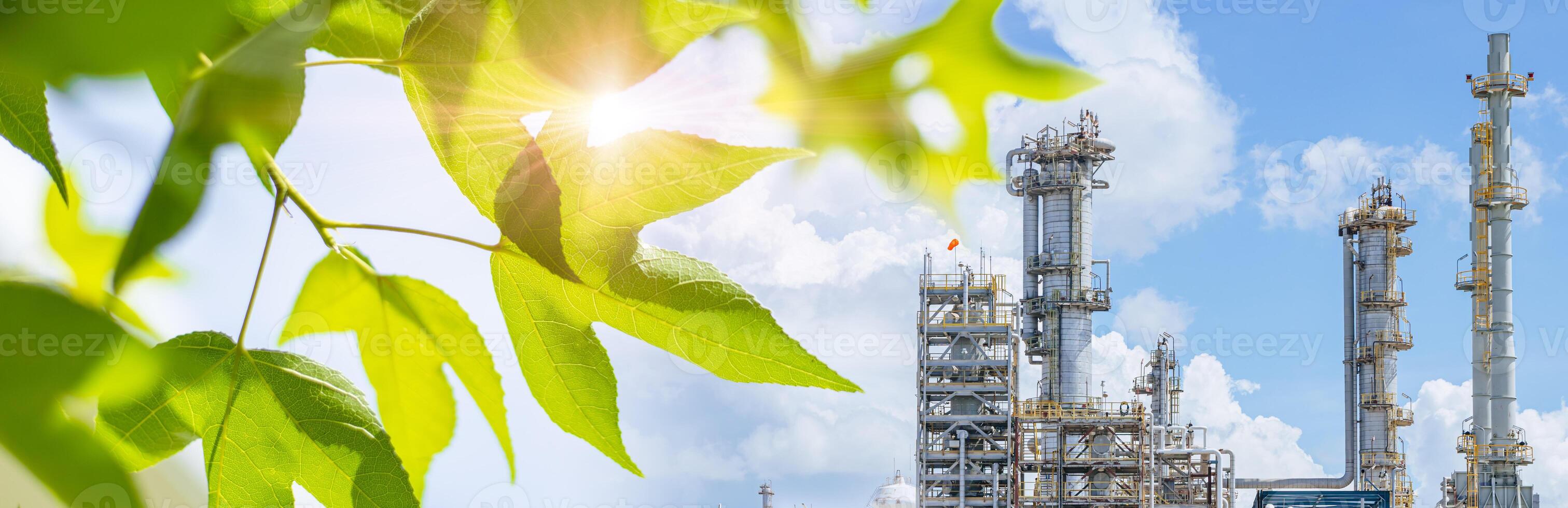 Environmental and Social Safeguards