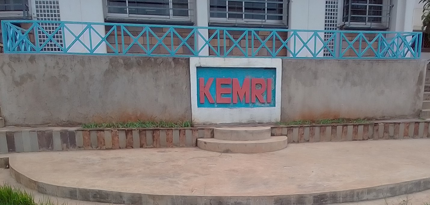 Environmental and Social Safeguard